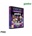 Cartucho Evercade Gaelco Arcade 1