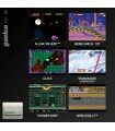 Cartucho Evercade Gaelco Arcade 1 en Videojuegos Otros por solo 16,99 € > Tu Tienda de Videojuegos | TTDV